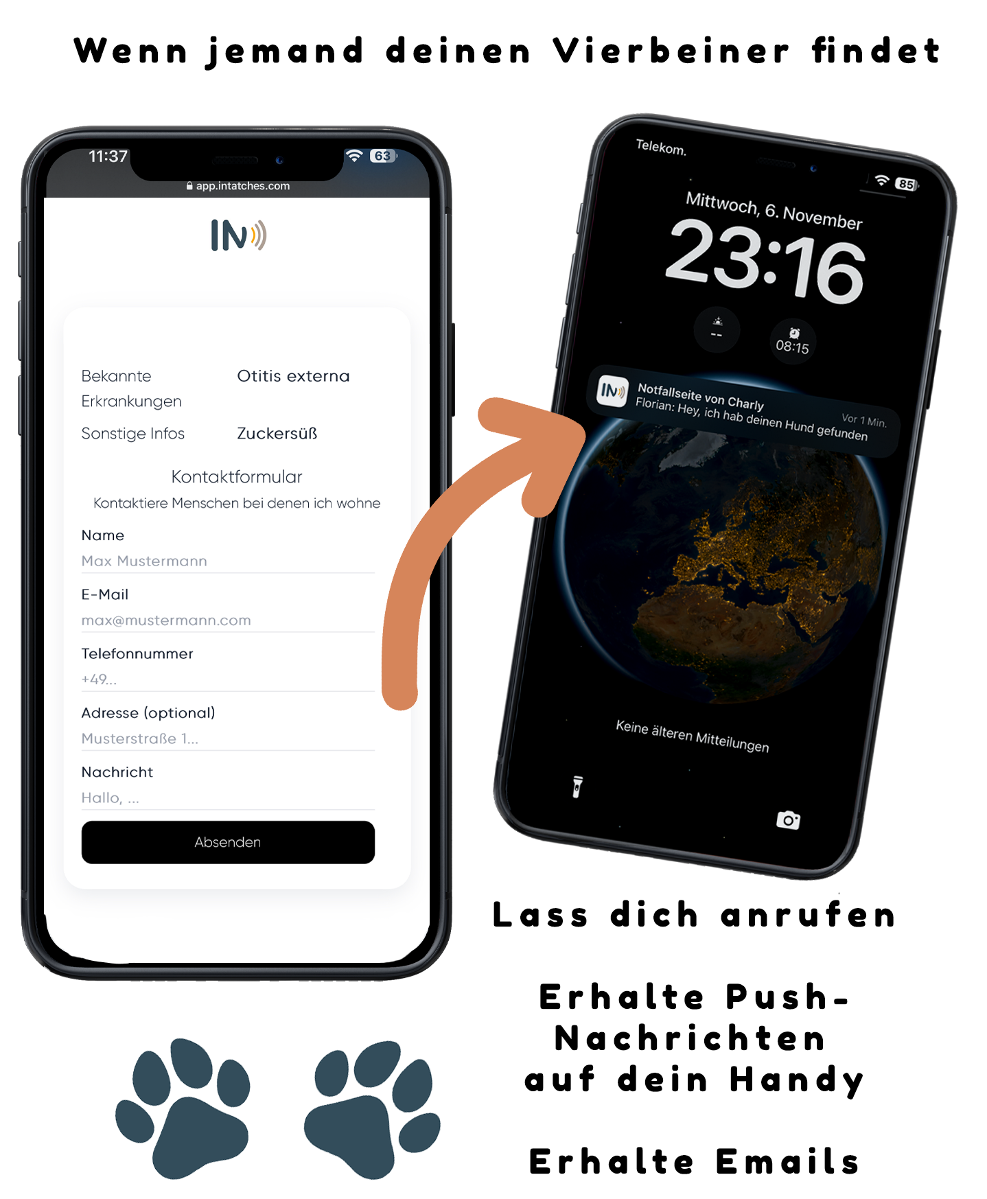 NFC Hunde und Tieranhänger